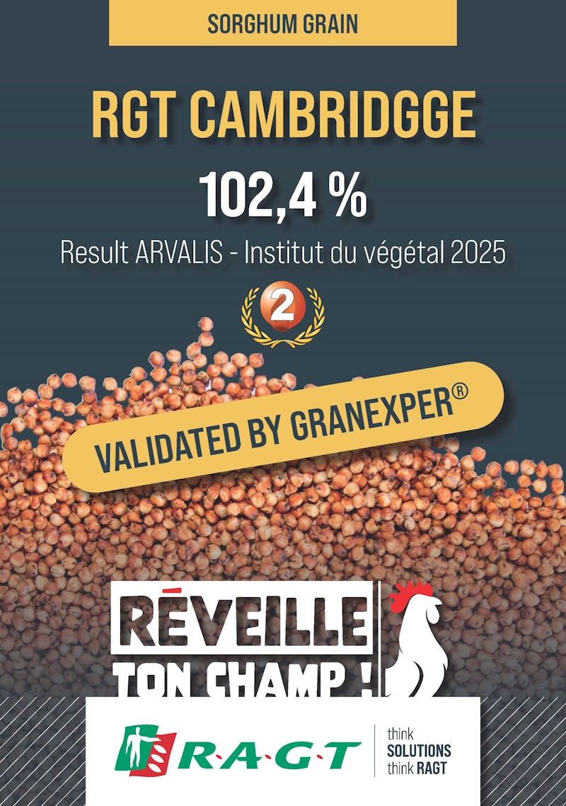 Annonce RGT CAMBRIDGGE